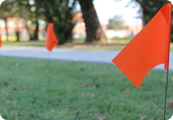 Utility inspection step image